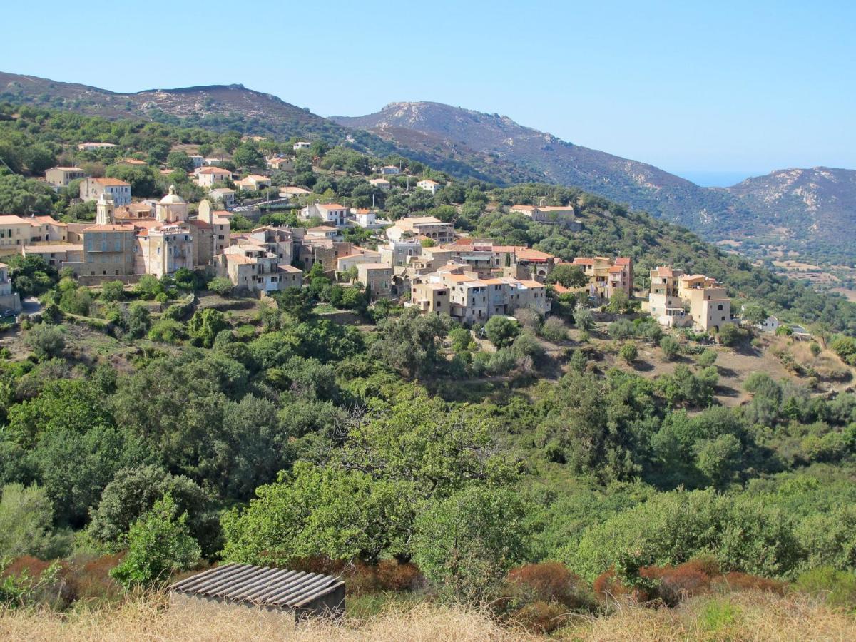 Apartment Thalassa - Cal200 By Interhome Corsica Island ภายนอก รูปภาพ