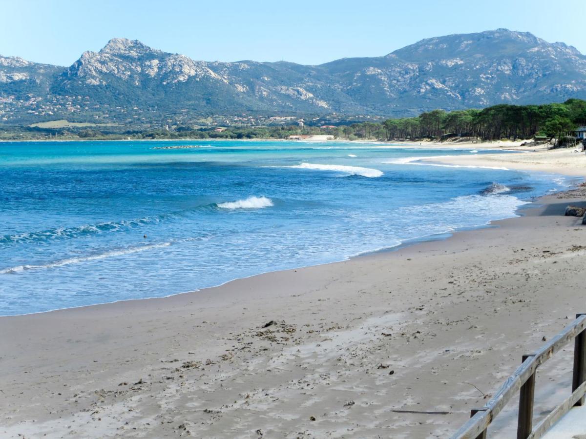Apartment Thalassa - Cal200 By Interhome Corsica Island ภายนอก รูปภาพ